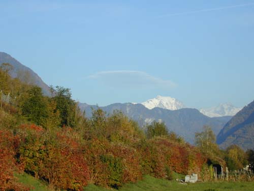 Mont