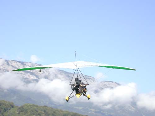 Oiseau
