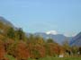 Mont